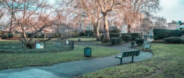 Photo by Miquel Parera on Unsplash