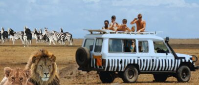 Jungle safari ride in Africa